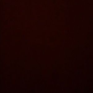 Meet your Posher, Noah